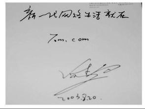 解读宁波调查取证申请书签字，小白必看的要点