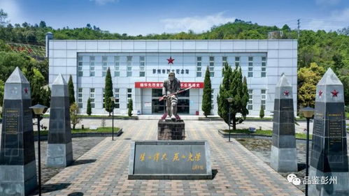 宁波如何申请法院调查取证？老司机教你避开这7大雷区，少走弯路！