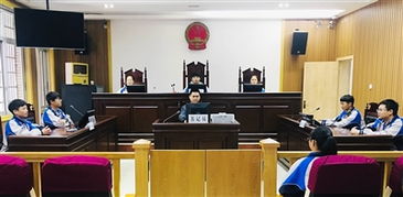 宁波申请法院调查取证申请全流程解析：小白必看的实操指南