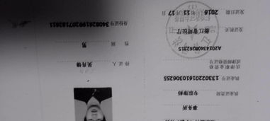 宁波劳动仲裁调查取证程序全解析：职场维权者的必修课