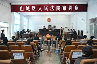 宁波法官调查取证权深度解析：普通人如何合法维护权益？