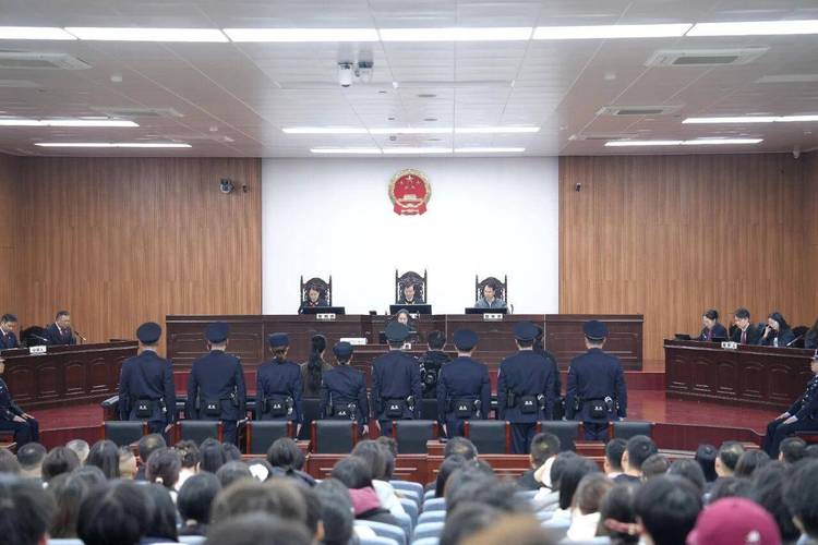 深度解析宁波律师调查取证权的法律规定：从业者视角下的实操指南